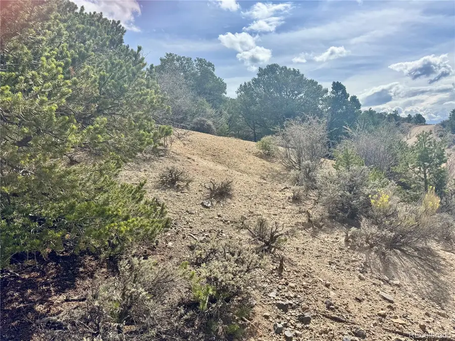 Lot 1374 Carter, Fort Garland, CO 81133 - #2