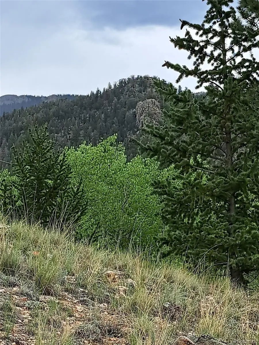 639 Spade Place, Jefferson, CO 80456 - Image #3