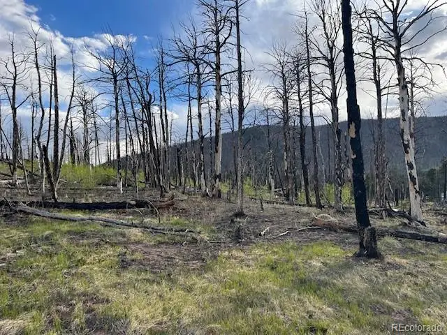 Lot 2248 Buonaventura Lane, Fort Garland, CO 81133 - #1