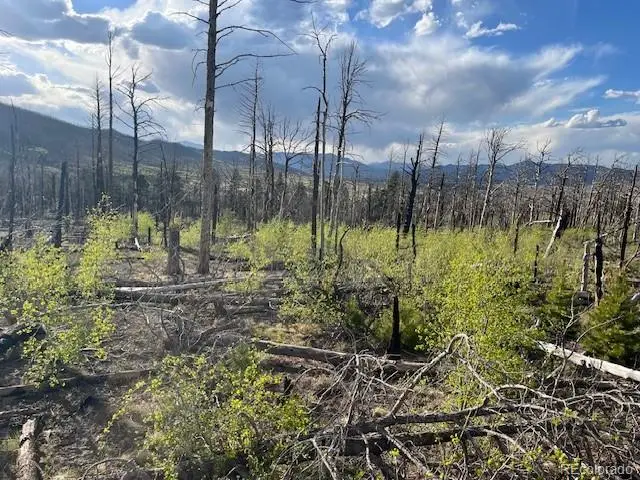 Lot 2248 Buonaventura Lane, Fort Garland, CO 81133 - #3