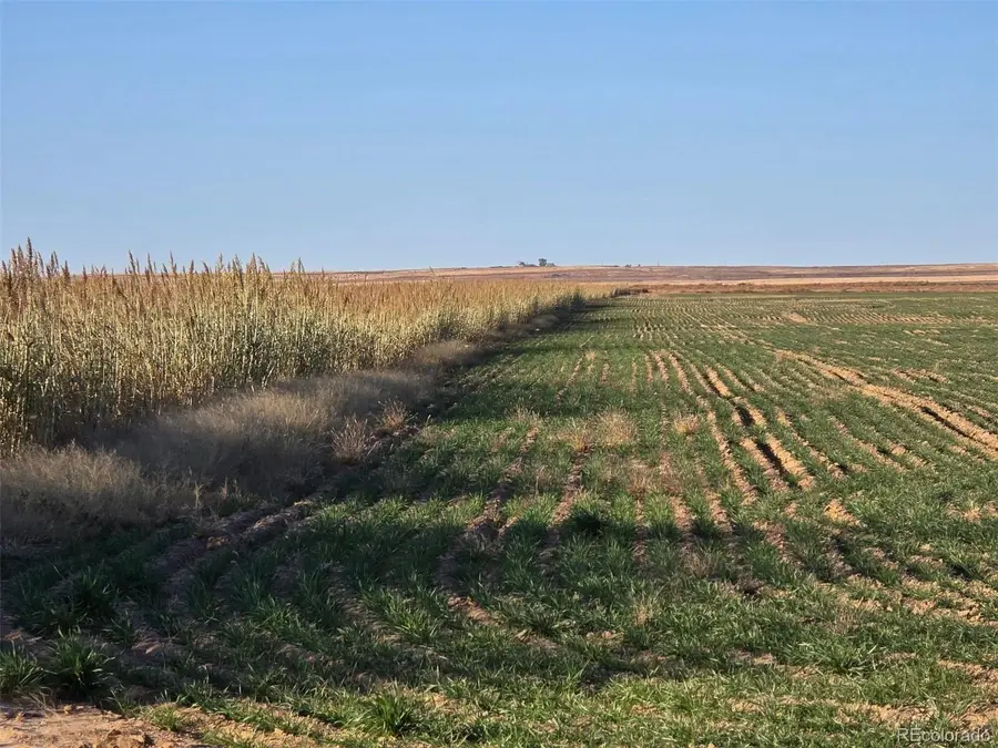 0 Cr K, Haswell, CO 81045 - Image #3