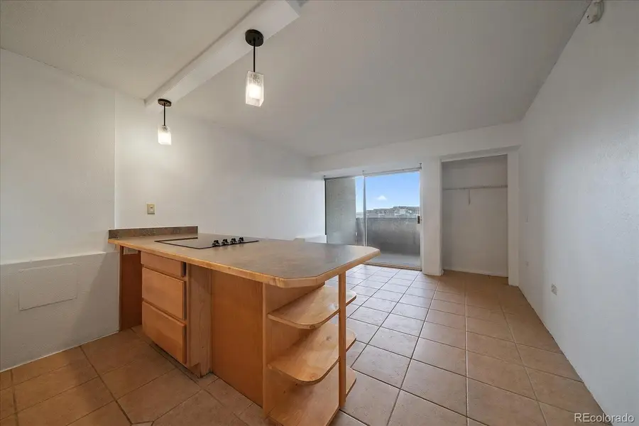 909 N Logan Street #11D, Denver, CO 80203 - Image #3