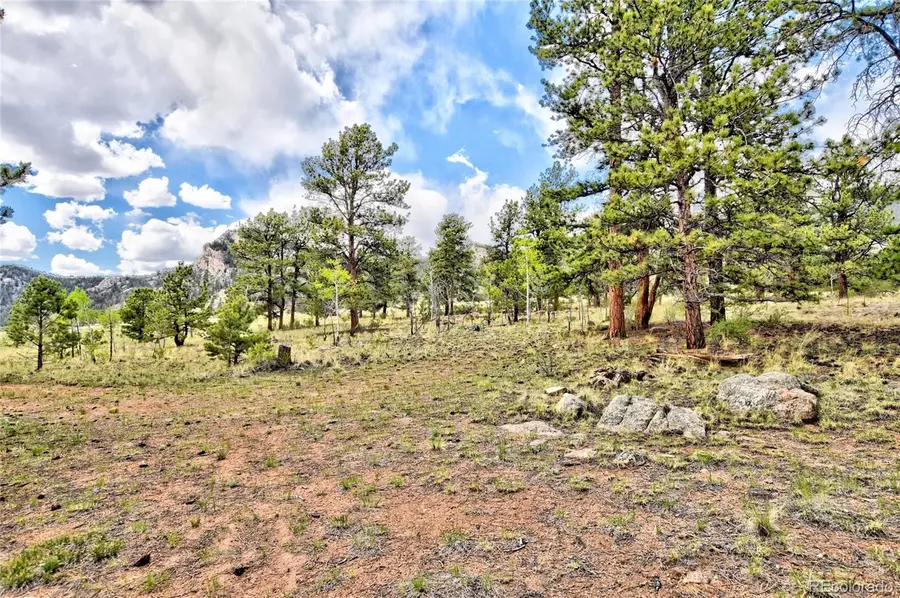 490 Teller Street, Lake George, CO 80827 - Image #3