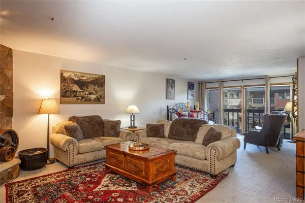 305 S Park Avenue #205, Breckenridge, CO 80424