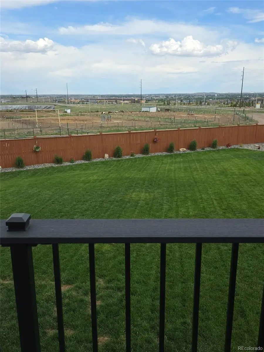 13638 Valentia Street, Thornton, CO 80602 - #2