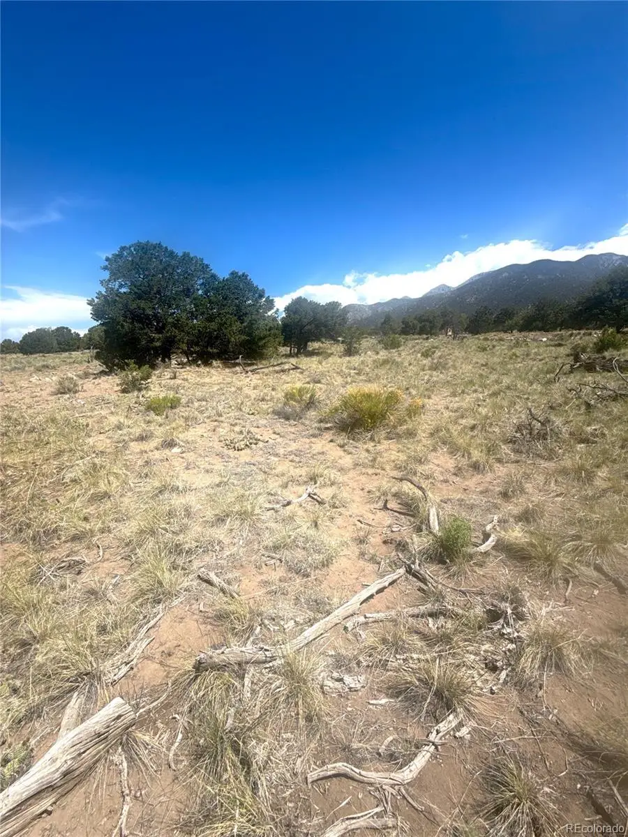 4472 Greenview Court, Crestone, CO 81131 - #3