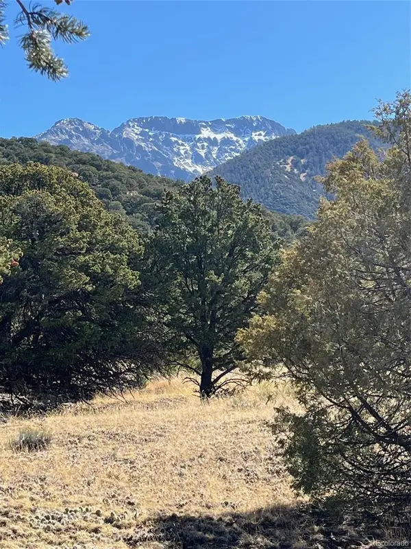 1718 Willow Creek Way, Crestone, CO 81131