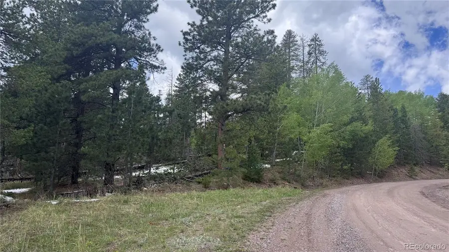 717 Crescent Lake Road, Golden, CO 80403 - #3