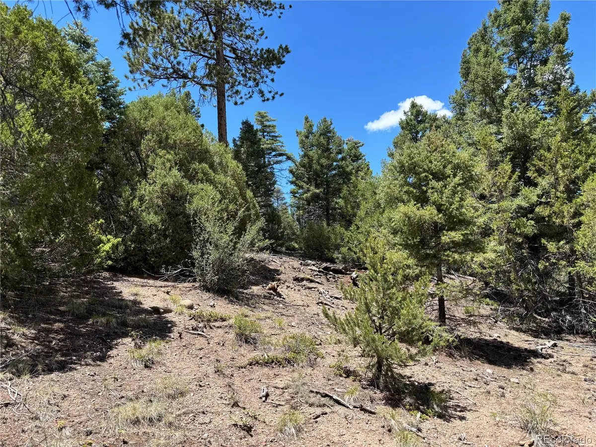 00 Sesame Road, Fort Garland, CO 81133 - Image #1