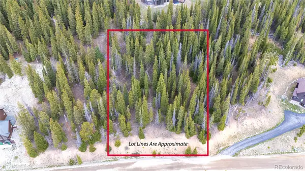 301 Kimmes Lane, Breckenridge, CO 80424