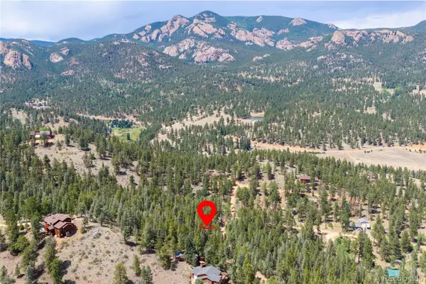 12397 S Cindy Avenue, Pine, CO 80470