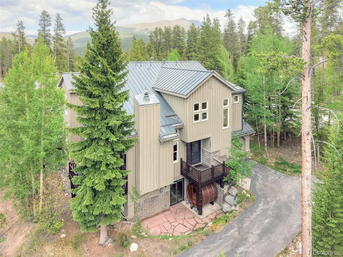 293 Settlers Drive, Breckenridge, CO 80424 - #1