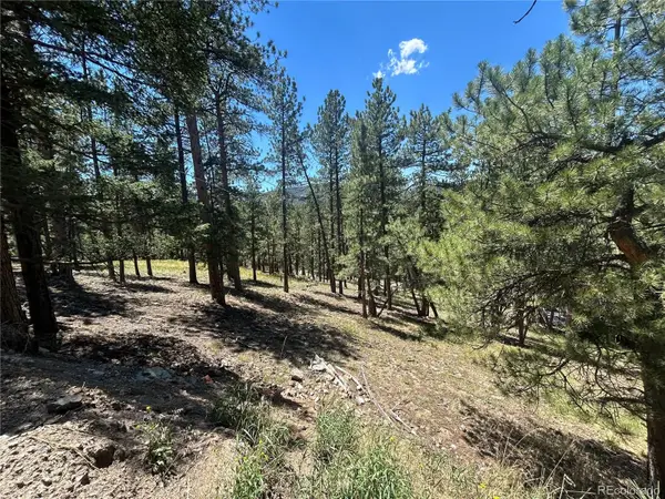 0 Pine Pine, Evergreen, CO 80439