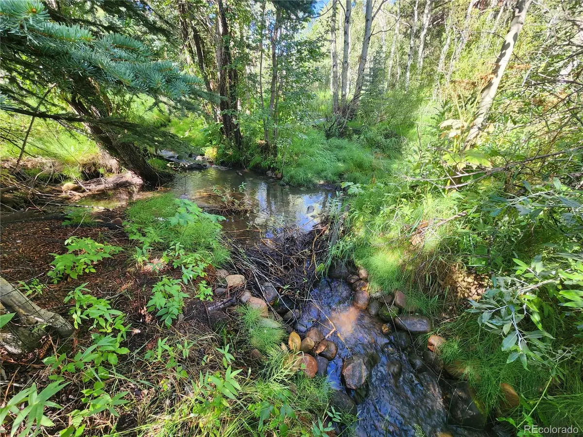 531 Caribou Road, Nederland, CO 80466 - #1