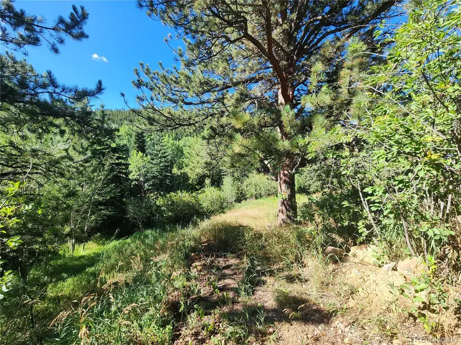 531 Caribou Road, Nederland, CO 80466 - #2