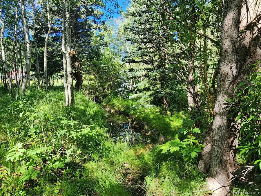 531 Caribou Road, Nederland, CO 80466 - #3
