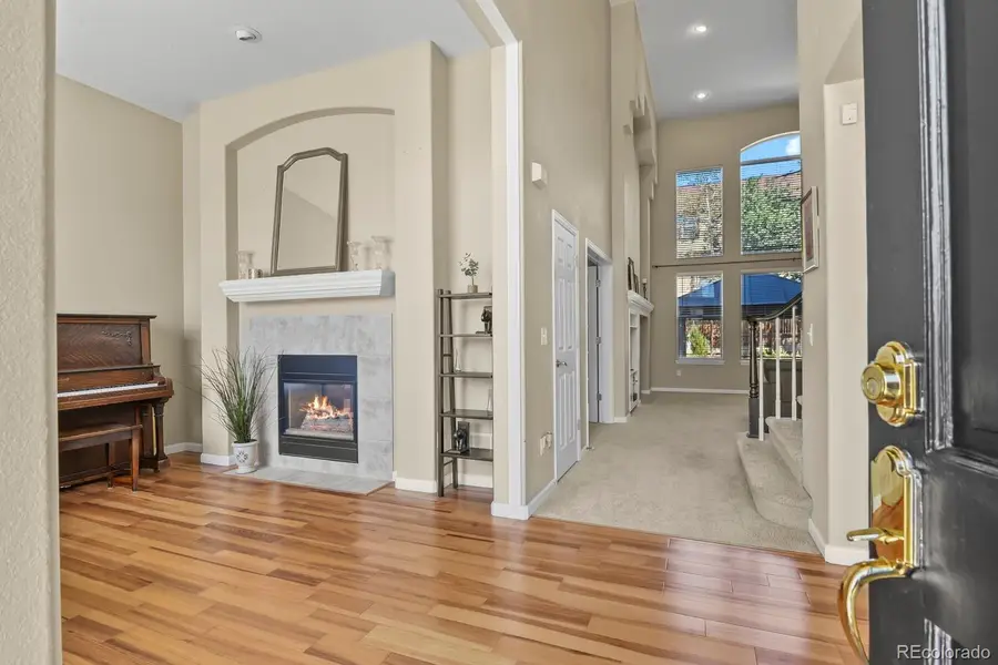 18093 E Alamo Drive, Centennial, CO 80015 - #3