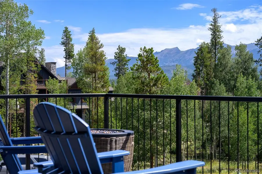 366 Lake, Winter Park, CO 80482 - #2