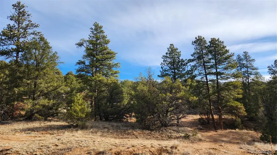 TBD L 7th Trail, Cotopaxi, CO 81223 - #3