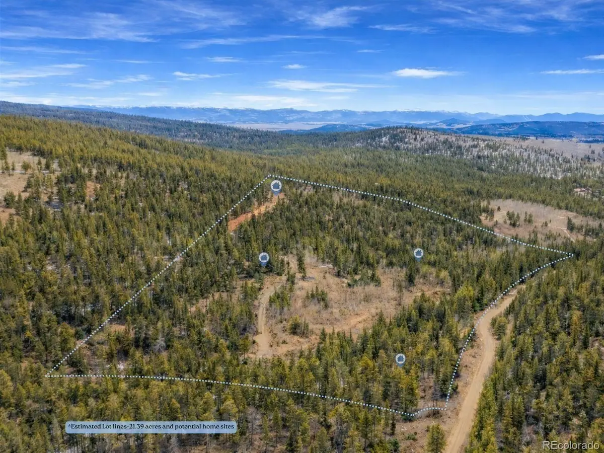 000 Beaver Creek Road, Alma, CO 80420 - #1