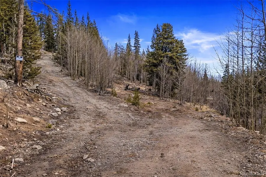 000 Beaver Creek Road, Alma, CO 80420 - #3