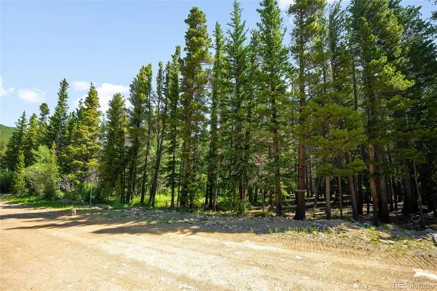 112 Deer Road, Idaho Springs, CO 80452 - Image #2