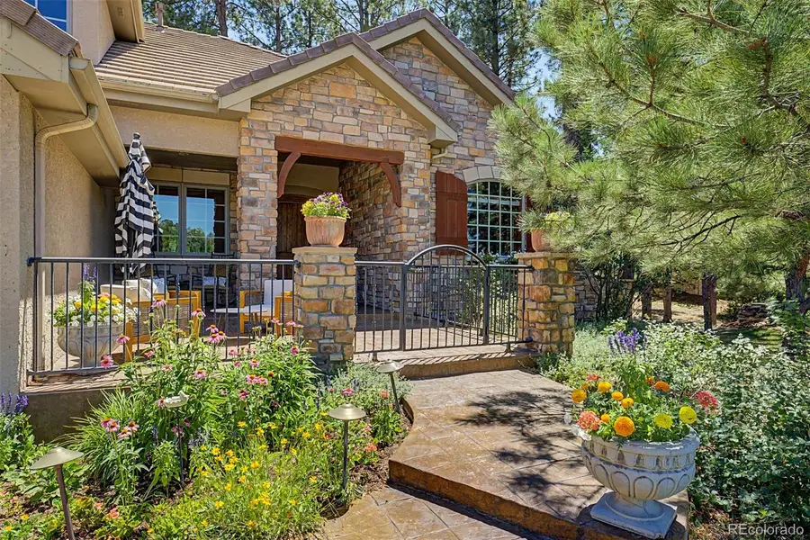 5270 Red Pass Lane, Castle Rock, CO 80108 - #3