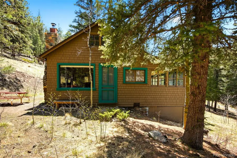 652 Payne Gulch Road, Bailey, CO 80421 - #2