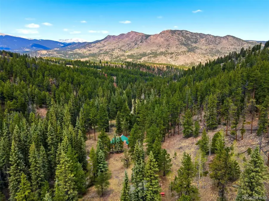 652 Payne Gulch Road, Bailey, CO 80421 - #3