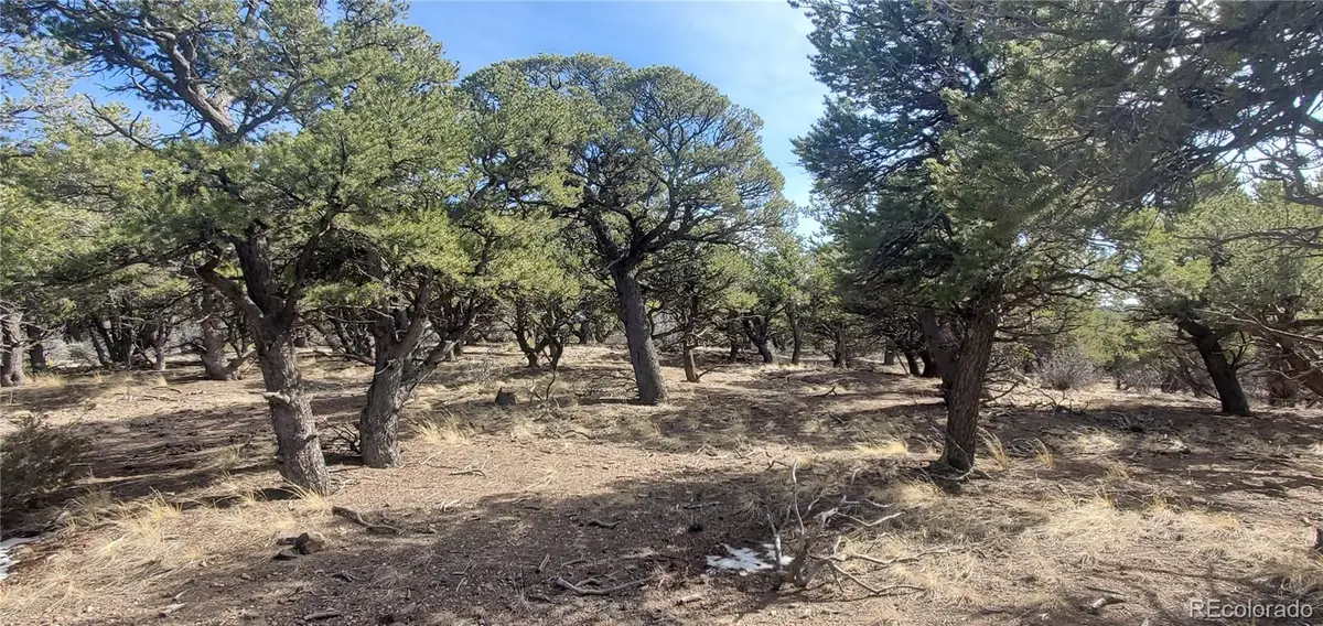 Lot 7274 Barker Road, Fort Garland, CO 81133 - #1