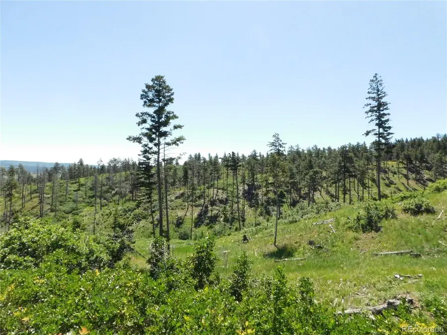 8249 Yuma Circle, Larkspur, CO 80118 - Image #2