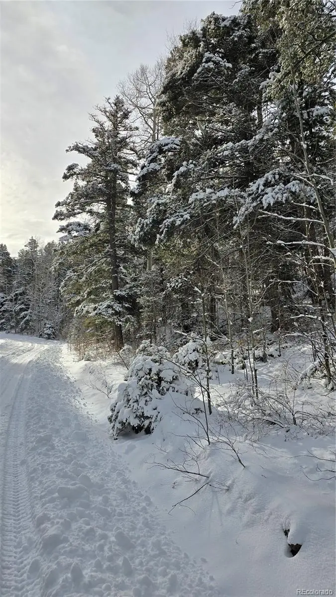 Lot 5540 Joy Road, Fort Garland, CO 81133 - Image #1