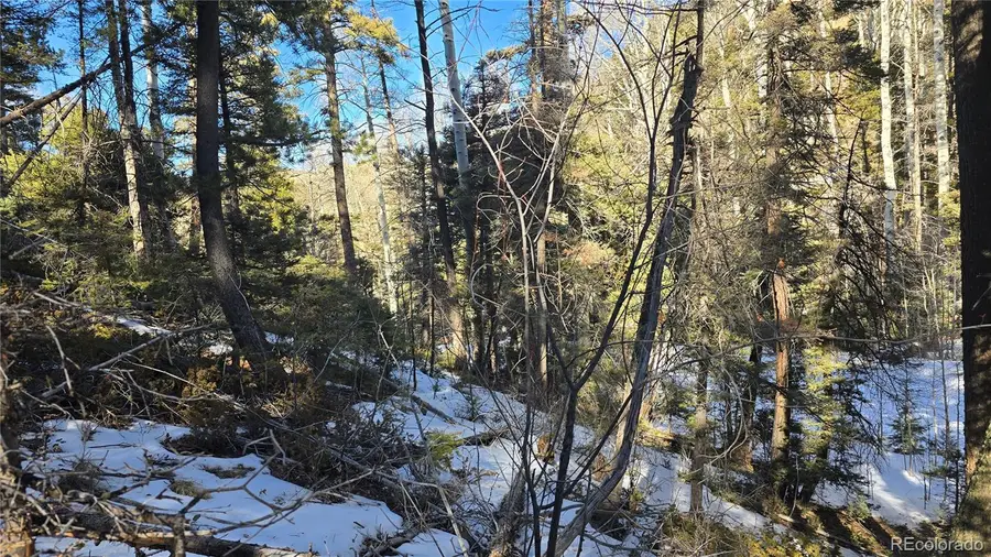 Lot 5540 Joy Road, Fort Garland, CO 81133 - Image #3