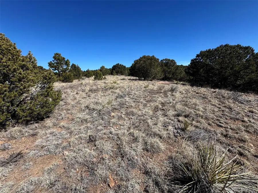 415 Kiowa Road, Westcliffe, CO 81252 - #2