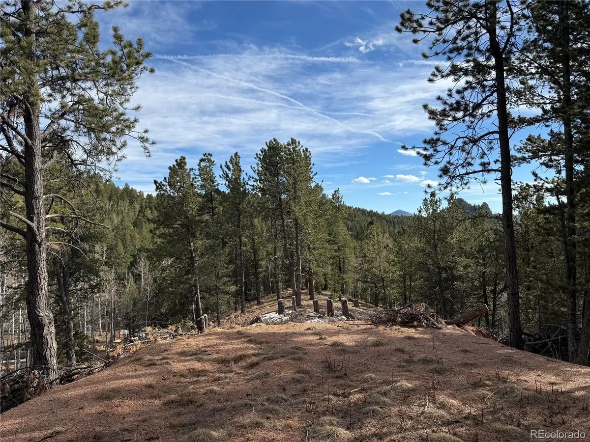 162 Eagle Drive, Divide, CO 80813 - #1