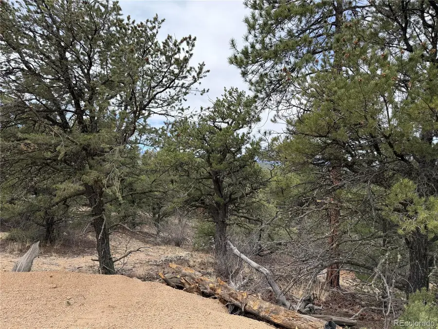 672 Coyote Run Trail, Canon City, CO 81223 - #2