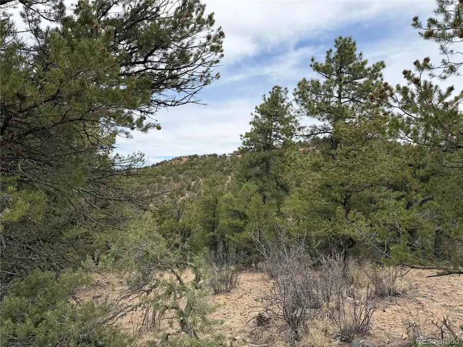 672 Coyote Run Trail, Canon City, CO 81223 - #3