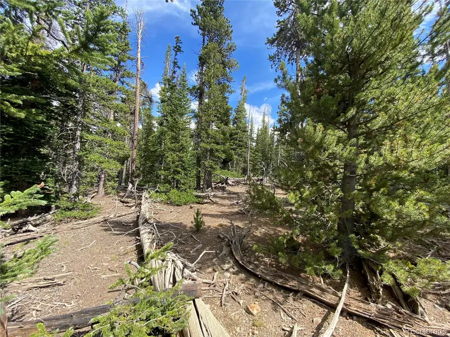 2216 Valley Of The Sun Drive, Fairplay, CO 80440 - Image #2