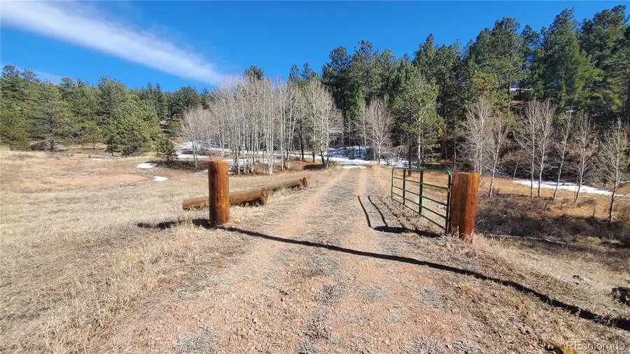 958 Meadows Lane, Lake George, CO 80820 - #2