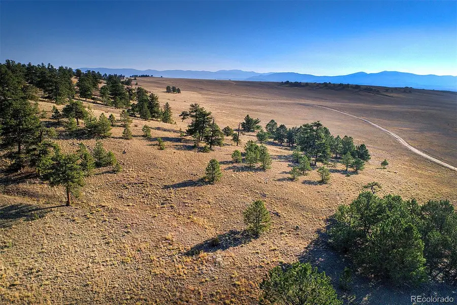 9128B Elkhorn Road, Hartsel, CO 80449 - #3