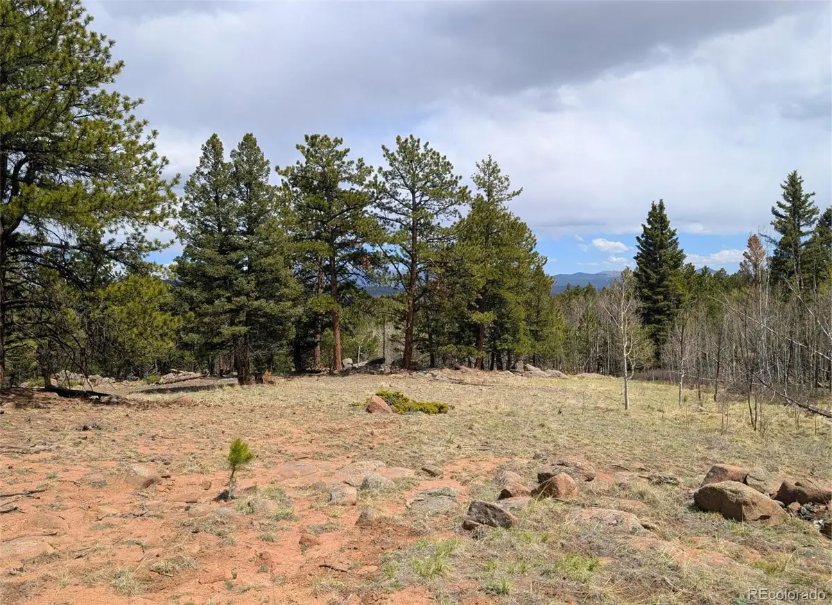 43 Spanish Bit Drive, Lake George, CO 80827 - Image #1