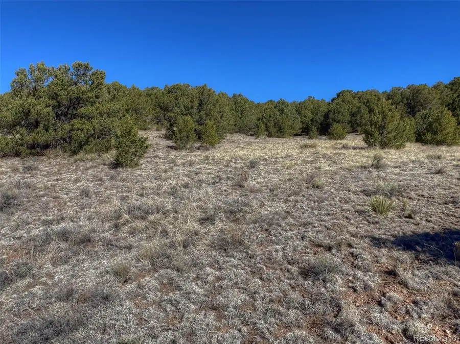 885 Crow Road, Westcliffe, CO 81252 - #3