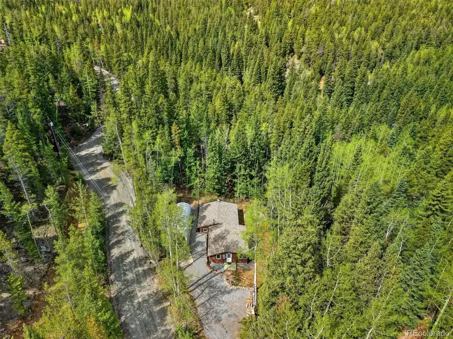 647 Old Little Bear Creek Road, Idaho Springs, CO 80452 - #2