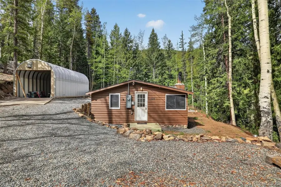 647 Old Little Bear Creek Road, Idaho Springs, CO 80452 - #3