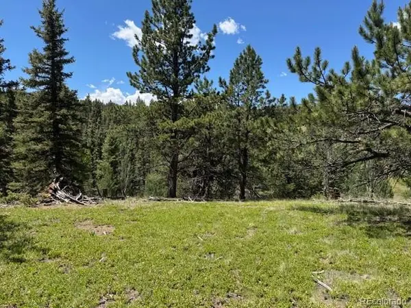 209 Kenosha Circle, Divide, CO 80814