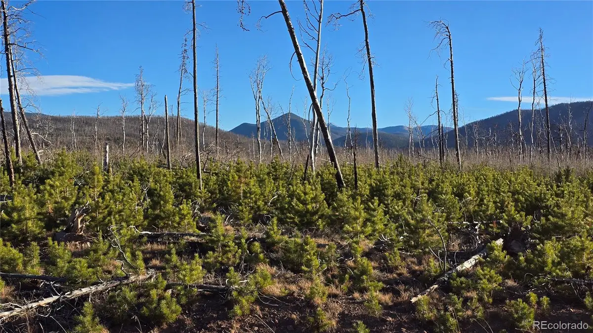 Lot 1505 Von Hyle Lane, Fort Garland, CO 81133 - Image #1