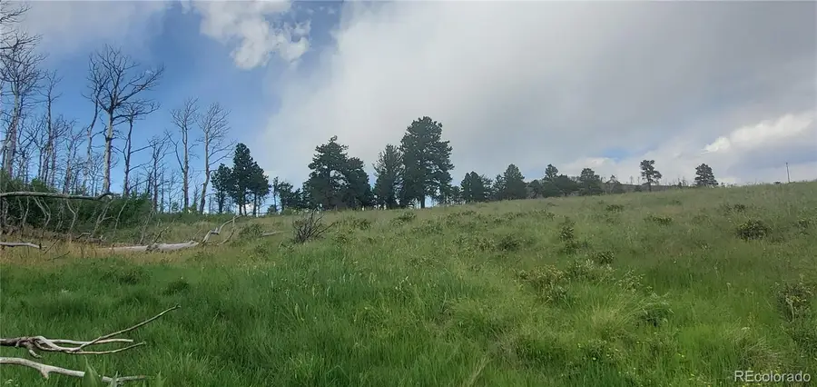 Lot 1720 Fitts Place, Fort Garland, CO 81133 - Image #2