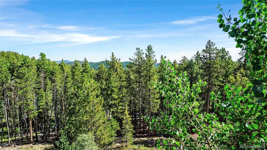224 Brook Road, Evergreen, CO 80439 - #2