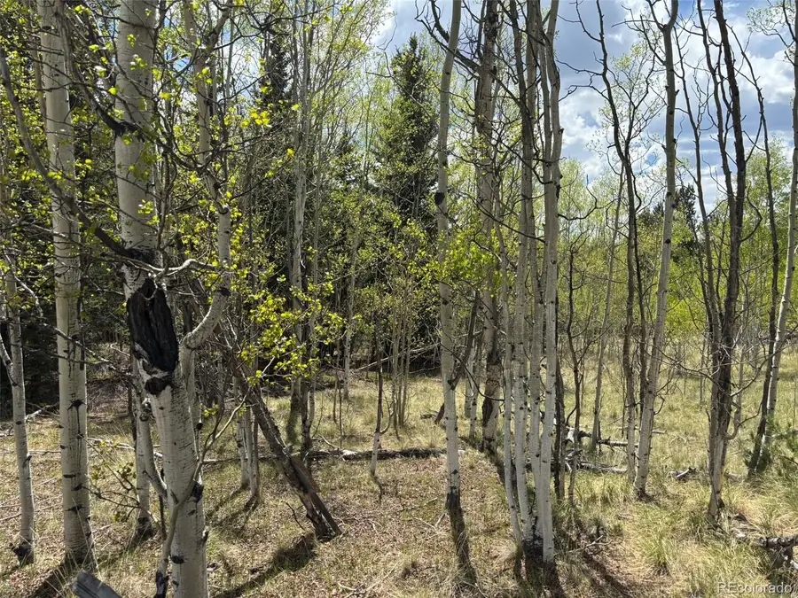 75 Ithaca Lane, Como, CO 80432 - Image #3