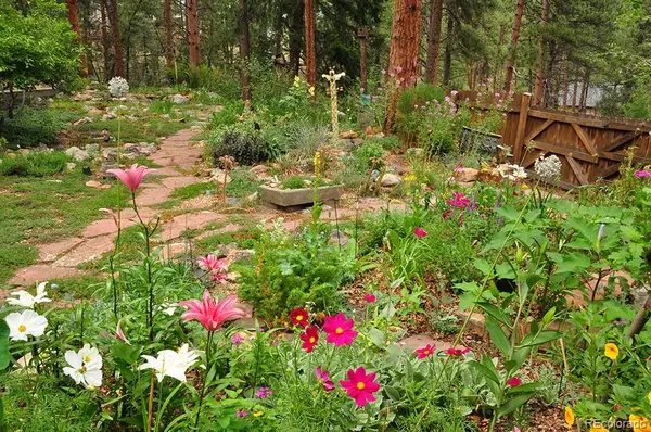 3137 Meadow View Road, Evergreen, CO 80439